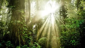 Planeta Verde — foto 1