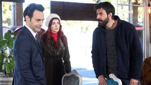 Episodio 17