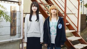 ネムルバカ — foto 3