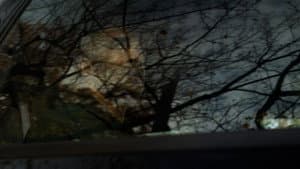 A Baleful Reunion — foto 2