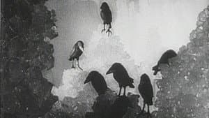 Die sieben Raben — foto 1