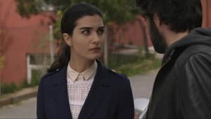 Episodio 7