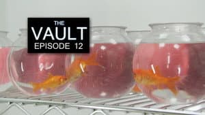 Episodio 12