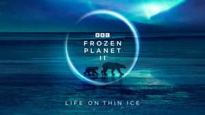 Frozen Planet II — foto 5