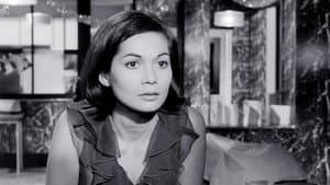 The Wild Affair — foto 1