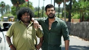 யானை — foto 8