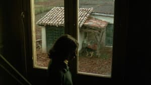 El sur — foto 10
