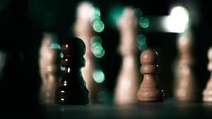 Pawns — foto 1