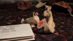 Snail Mail — foto 3