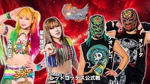 第15回 ゴッデス・オブ・スターダム ～タッグリーグ戦～ in SAPPORO Day1 — foto 5