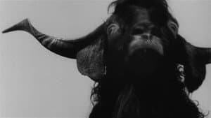 Incubus — foto 3