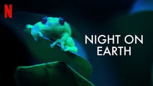 La Tierra de noche — foto 3
