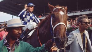 Secretariat — foto 2