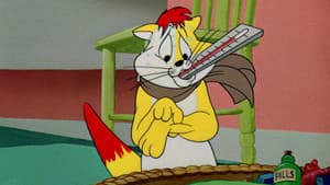 Gato hipocondríaco — foto 2
