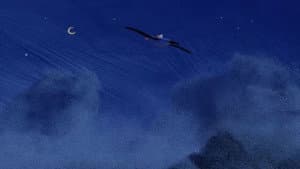 Earth To Albatross — foto 1