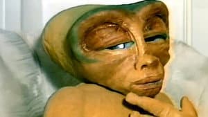 Homoti — foto 3