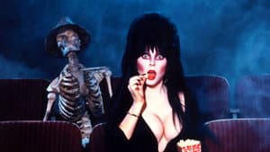 Elvira, la dama de la oscuridad — foto 9