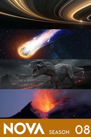 Temporada 8