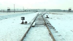 Mina 19 876 steg i Auschwitz / Birkenau — foto 1