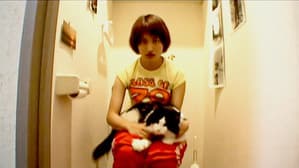星ノくん･夢ノくん — foto 2