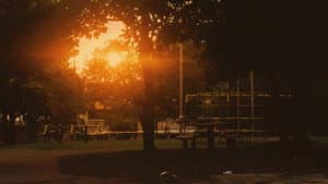 A Necessary Goodbye — foto 1