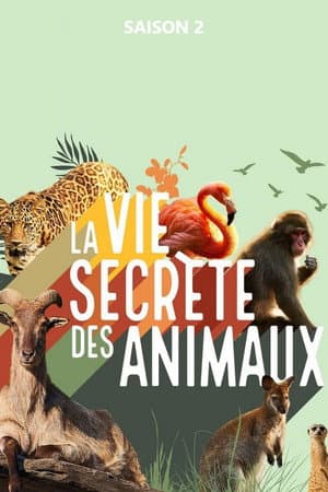 Temporada 2