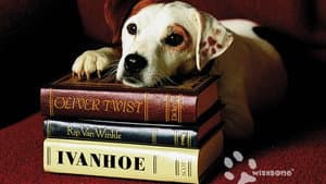 Wishbone — foto 2