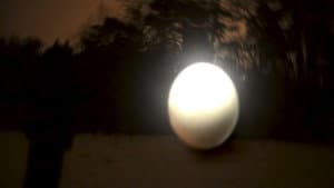 Ägg — foto 3