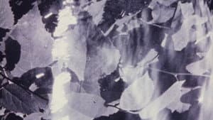 Isolation — foto 2