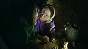 Episodio 14