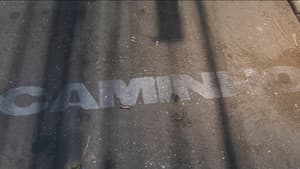 Caminho — foto 4