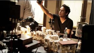 The Fly Room — foto 1