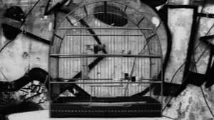 Tenebris — foto 1