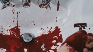 Mutilación: Adiós, gracias por todo — foto 1