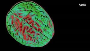 Le pouvoir nuit-il gravement au cerveau ? — foto 1