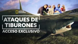 Ataque de Tiburones — foto 6