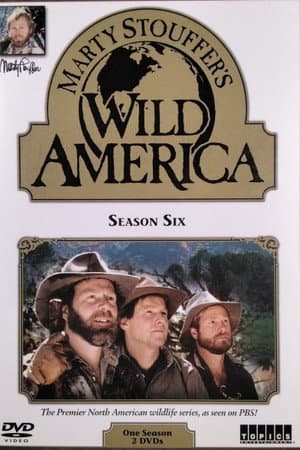 Temporada 6