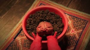 Oldboy's Apples — foto 3