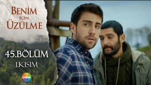 Episodio 45