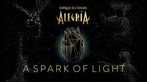 Alegría - A Spark of Light — foto 1