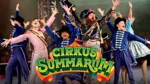 Cirkus Summarum — foto 1