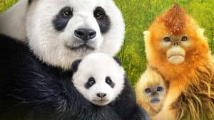 Expedición a China — foto 6