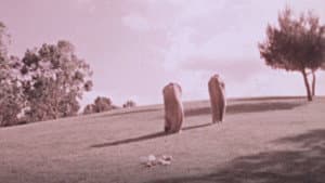 The Baggs — foto 1