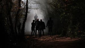 Episodio 7