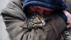 Cat Daddies — foto 1