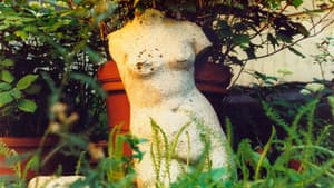 The Odds of Recovery — foto 1