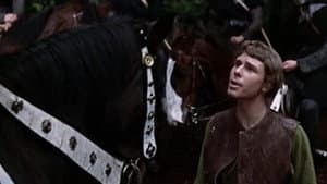 The Men of Sherwood Forest — foto 11