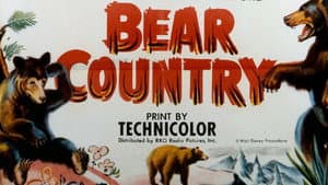 Bear Country — foto 2