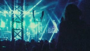 Mischka — foto 4