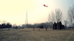 冬去 — foto 4